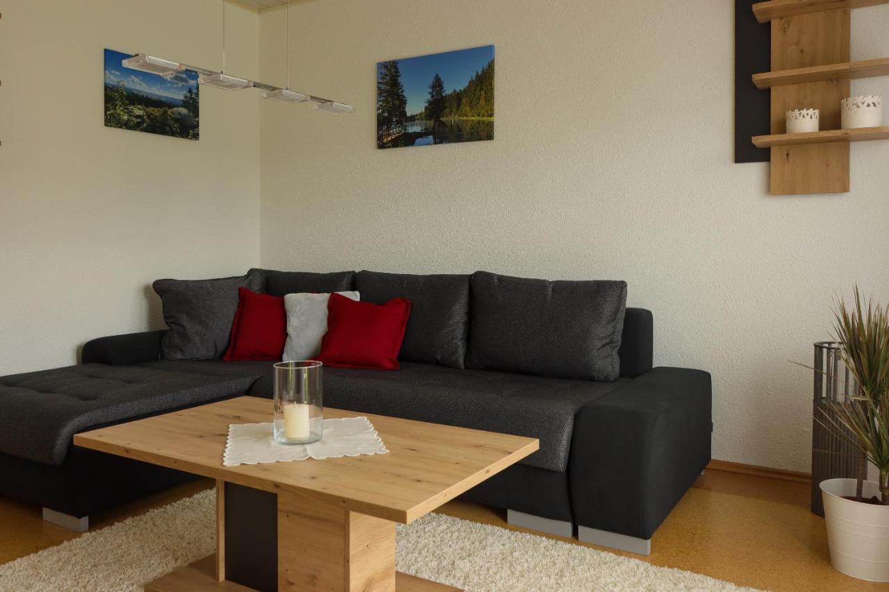 Buchen Blick - Ruhige Moderne Ferienwohnung 82Qm. Fichtelberg Eksteriør billede